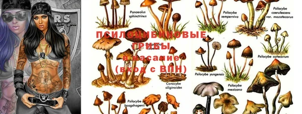 меф Арсеньев