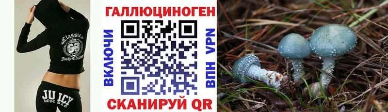 цены   Аша  Галлюциногенные грибы Cubensis 